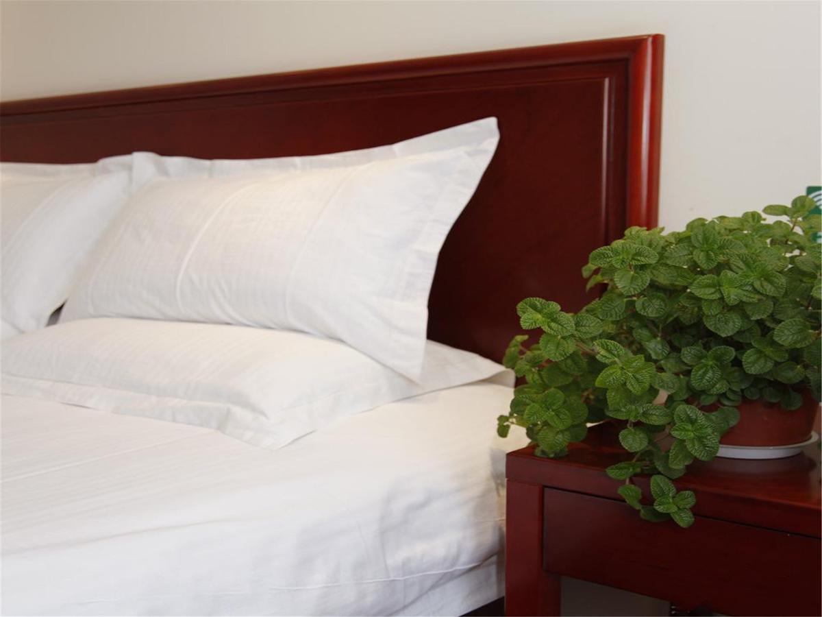 Business Double Room B