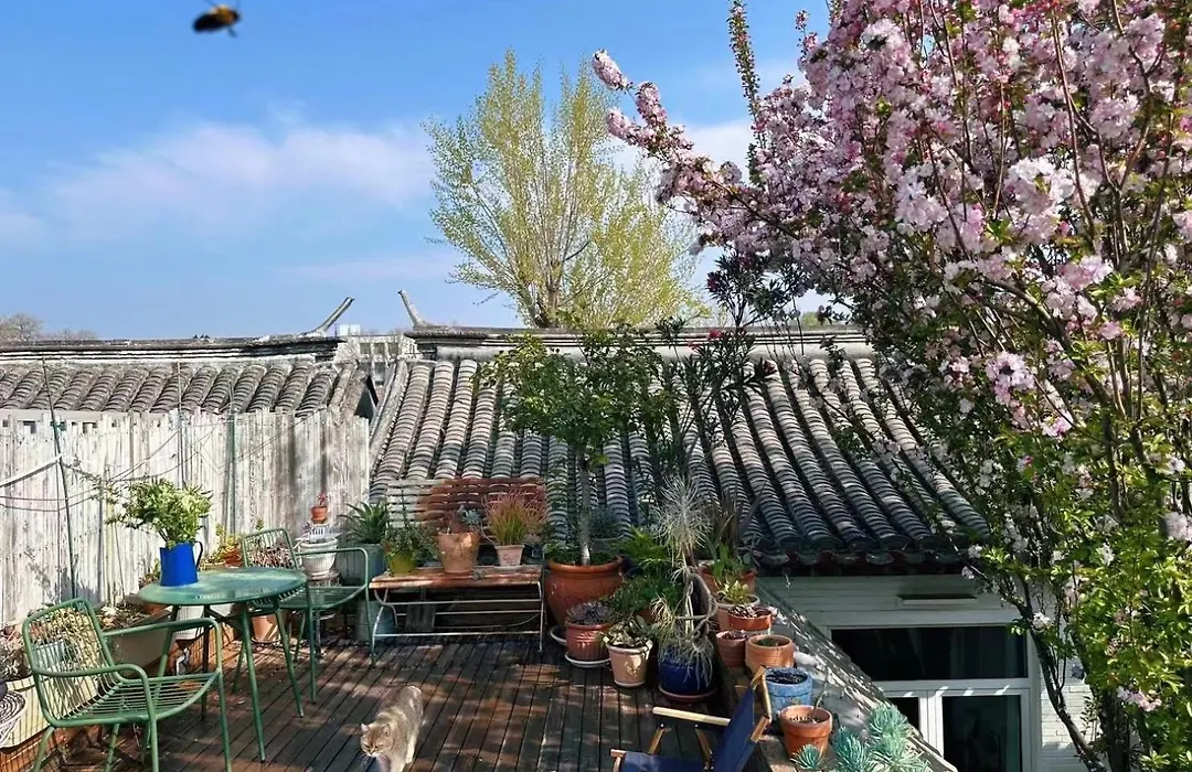 Peking Garden Siheyuan Boutique Hotel-Forbidden City&Beihai Park&Historic Hutong-Traditionnal Yard&Sunshine Terrace&Tea House&Home Kitchen-1