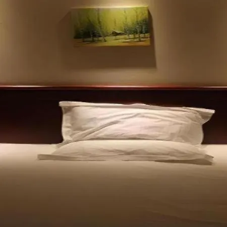 Greentree Inn Beijing Dongcheng District Wangfujin South Luogu Lane Houhai Express Hotel-3